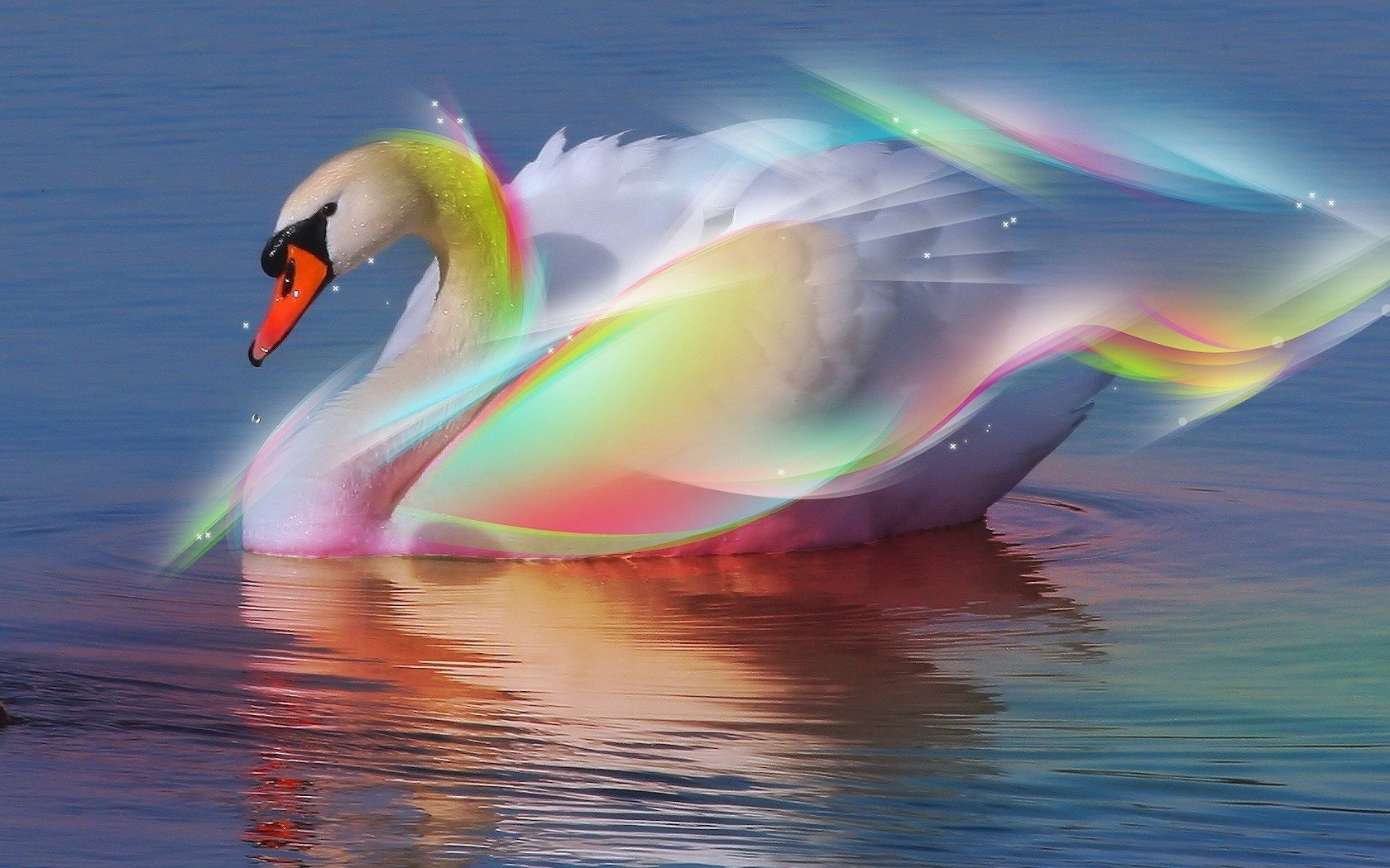 cygne photoshop traitement fantaisie eau réflexion abstraction