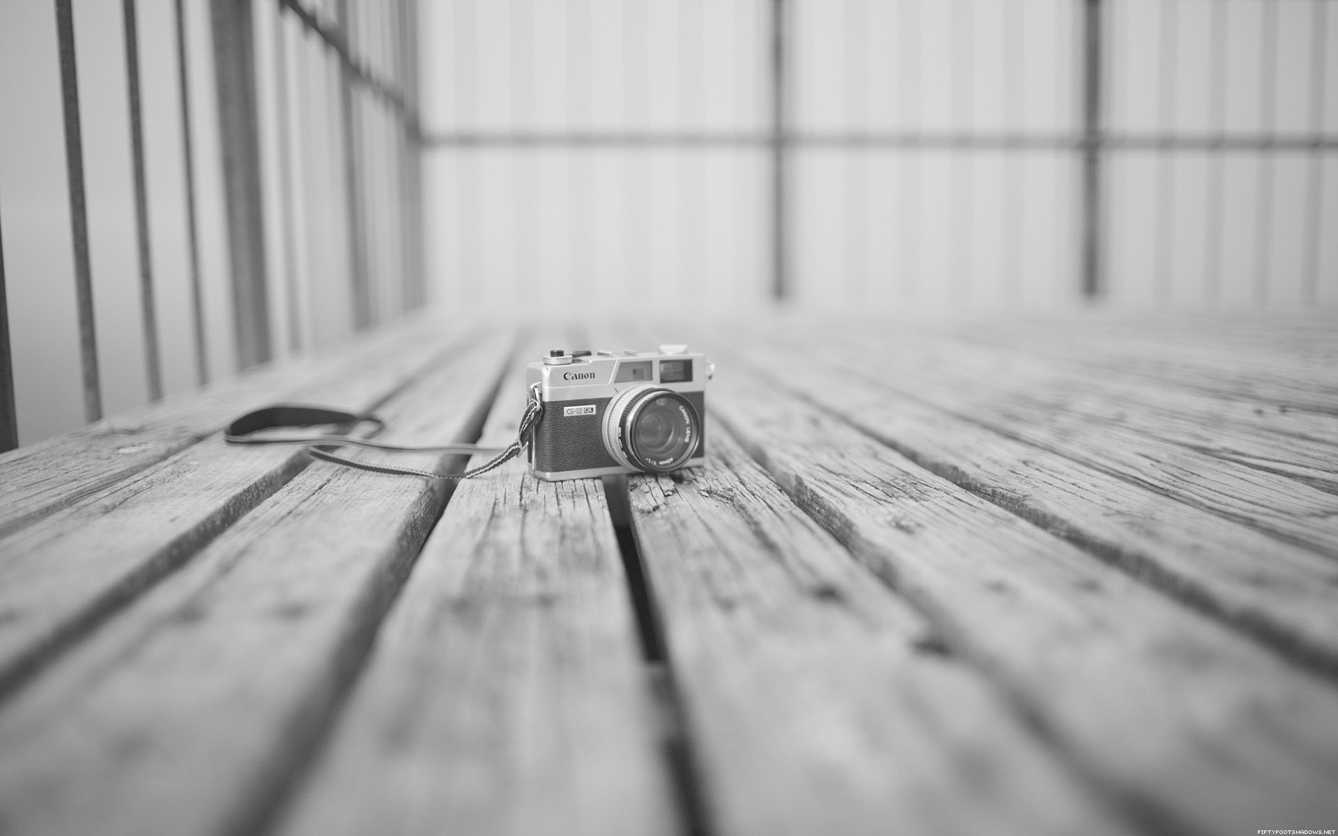 habitación gris piso de madera cámara cámara equipo fotográfico foto cámaras blanco y negro photoparade