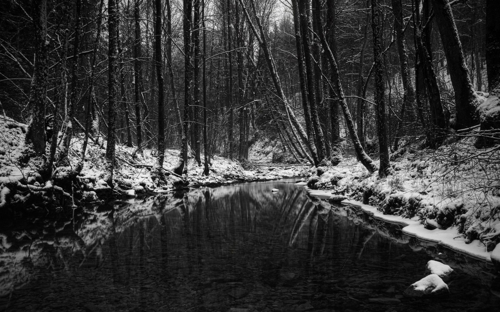 río en el bosque poco profundo invierno árboles oscuridad bosque ríos arroyos río