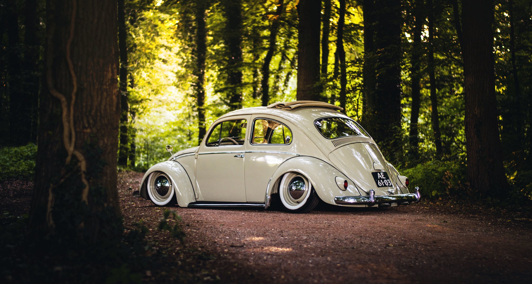 volkswagen käfer schiebedach räder hinten bäume straße wald sonne