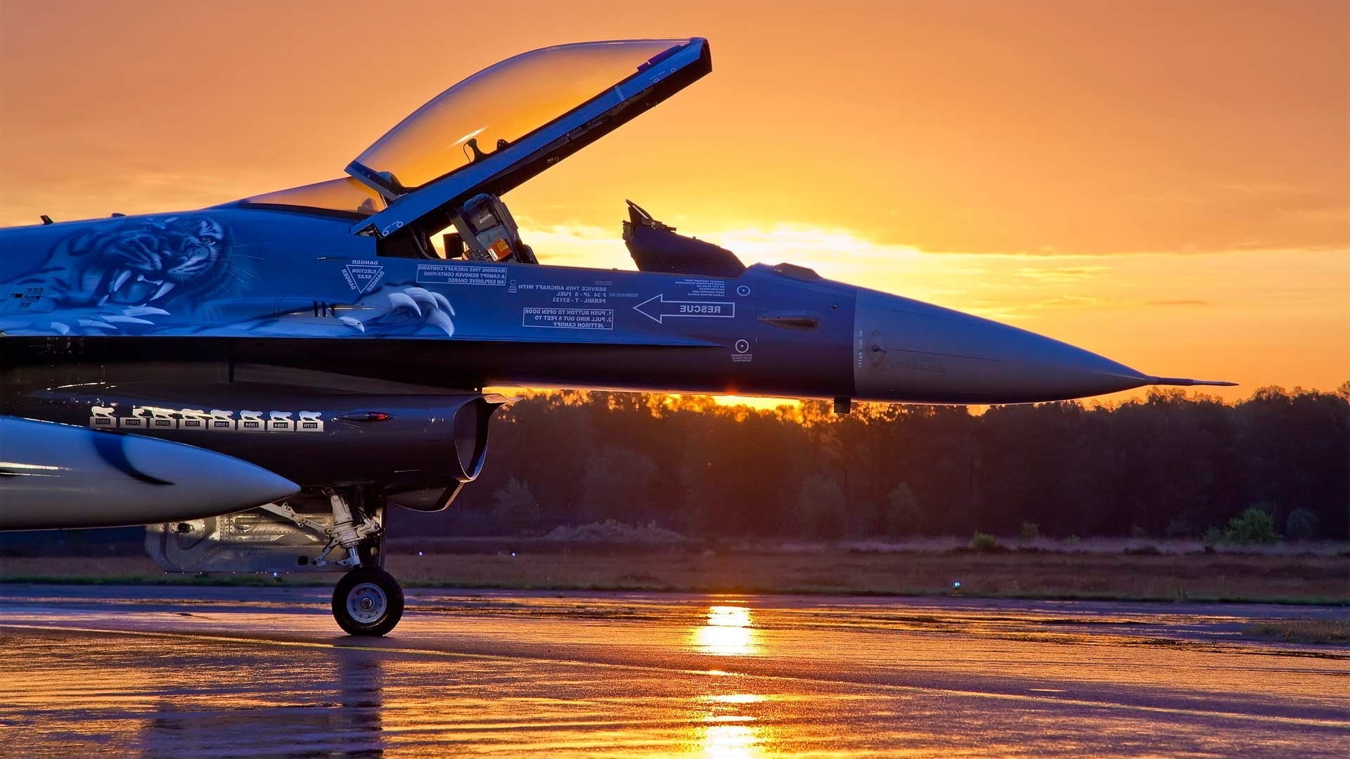 fighter start sunset tiger