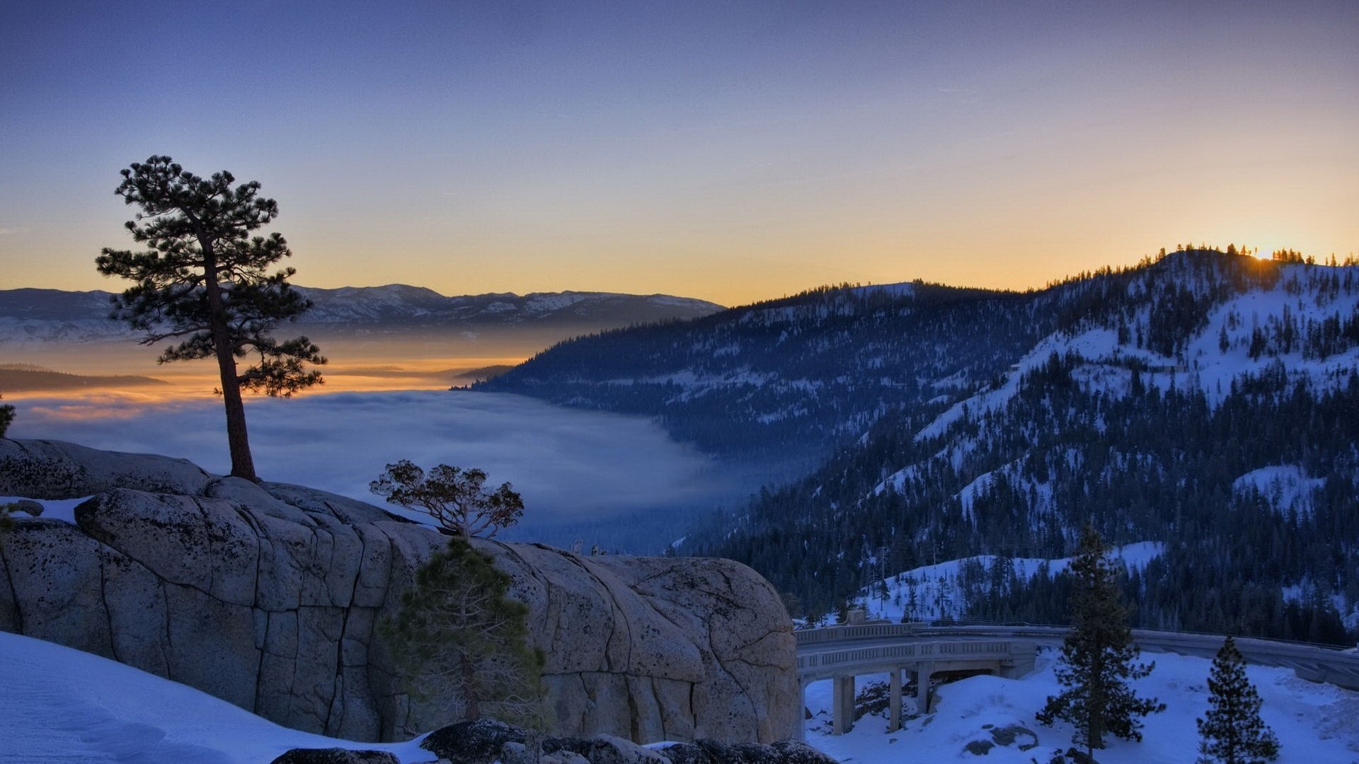 baum auf felsen berge in der ferne landschaft sonnenuntergang schnee berge winter kiefer brücke