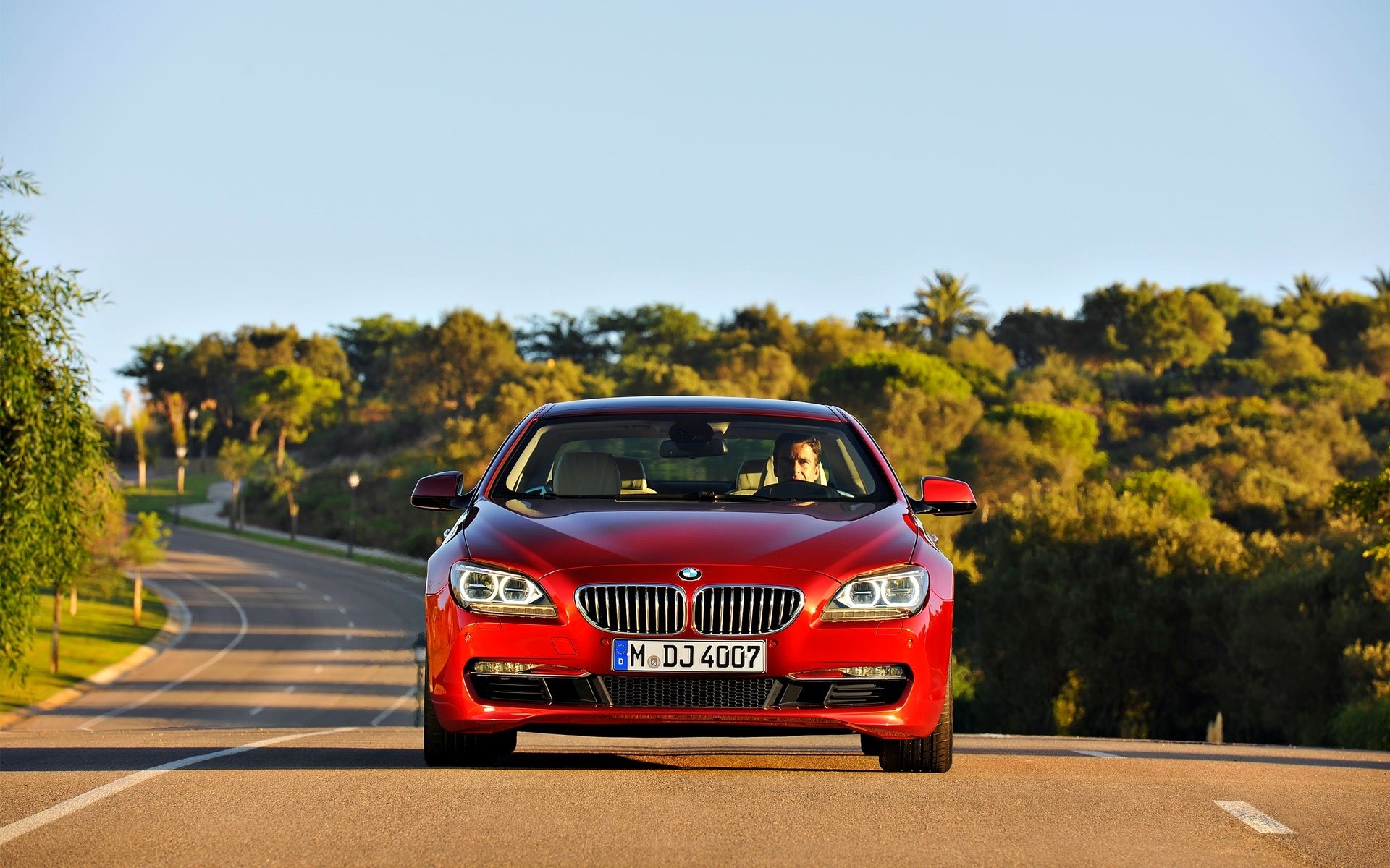 bmw série 6 avant rouge route jour asphalte grille bmw capot