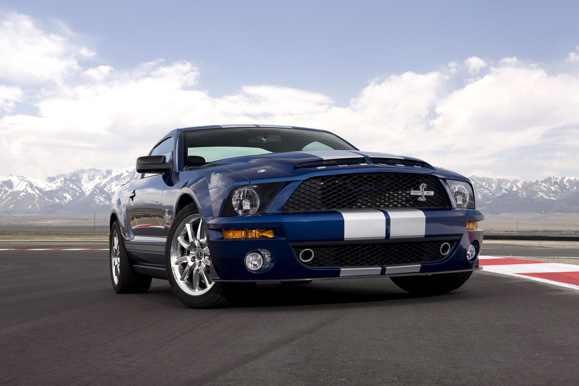 2008 shelby gt500 kr 40th anniversary ford mustang