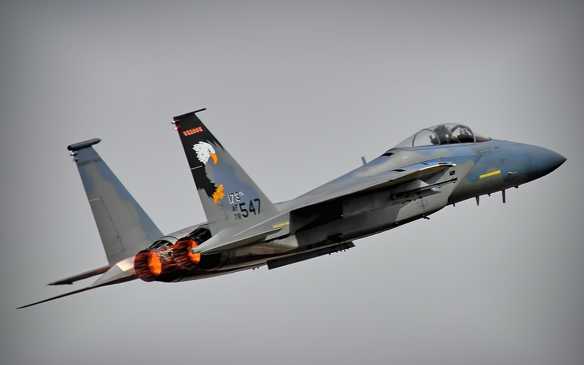 plane f-15 eagle weapon