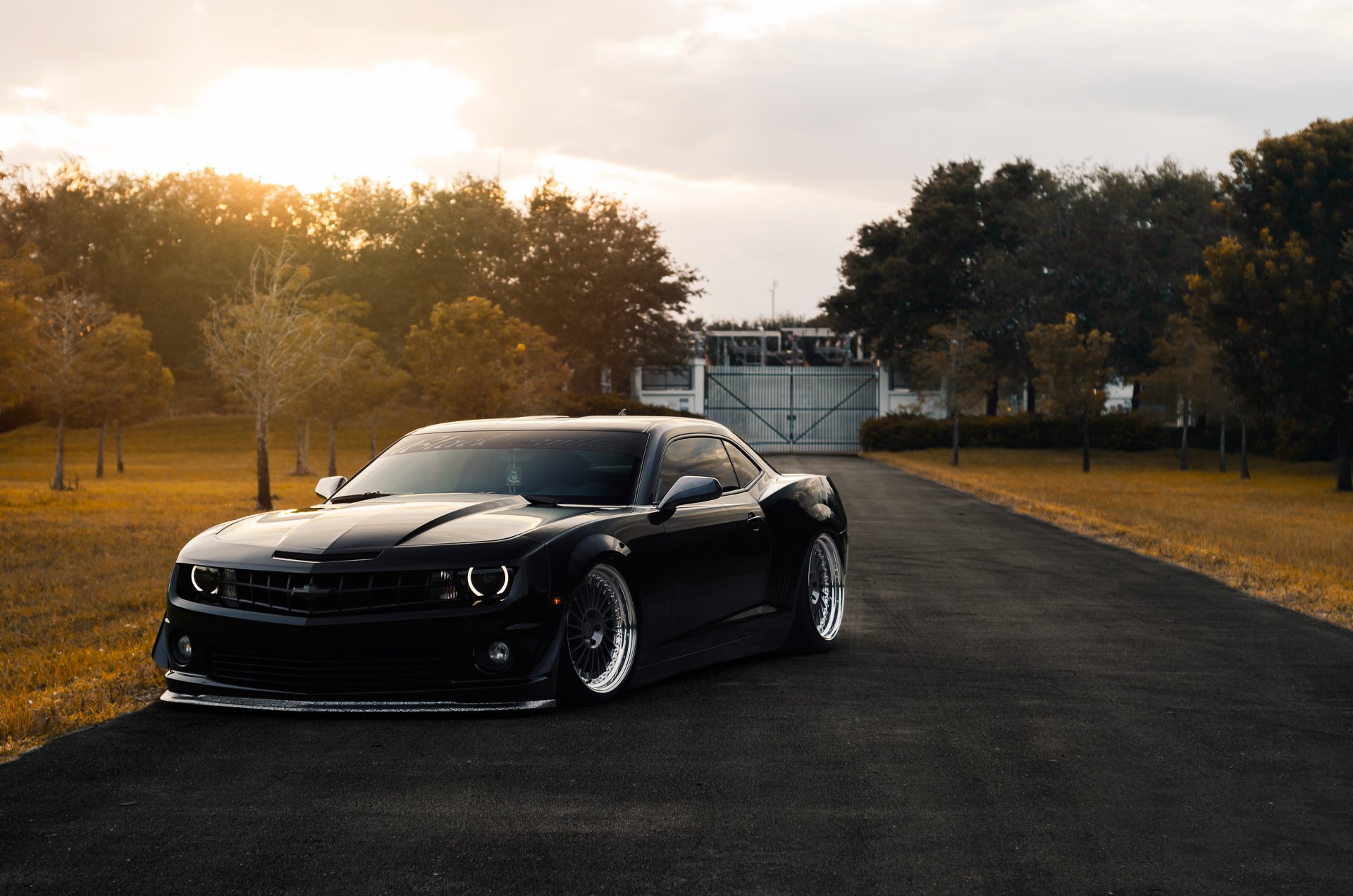 chevrolet camaro zl1 posición mate negro músculo coche otoño frente