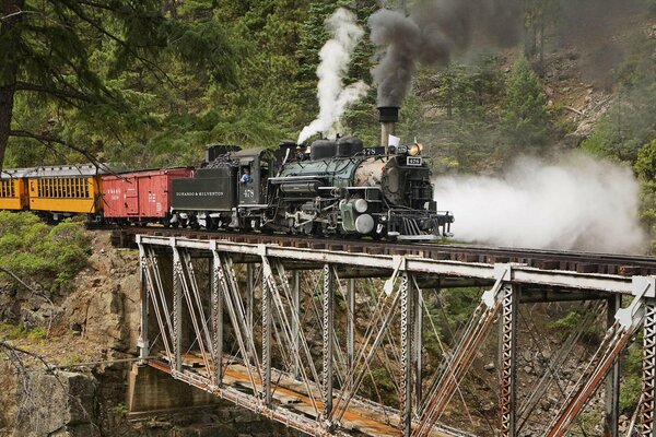 Une locomotive à vapeur traverse un pont émettant de la vapeur dans la nature entre les rochers