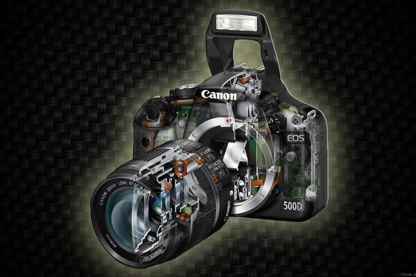 Appareil photo canon sous radiographie