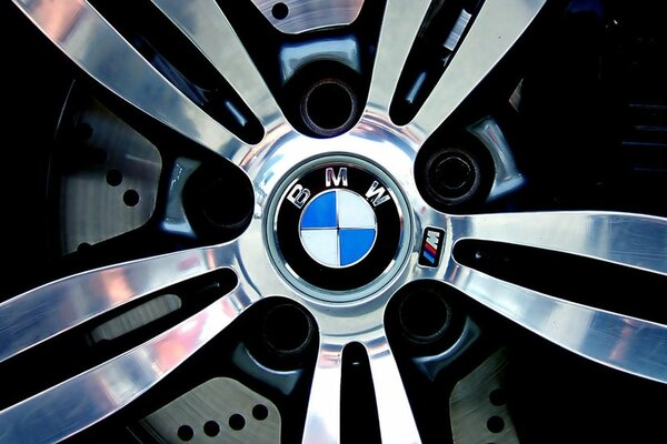 BMW titanium disc with logo