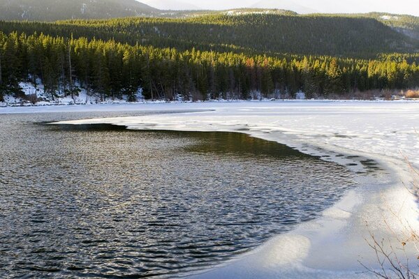 Borde de hielo en el lago en el bosque