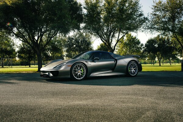 A silver supercar in the middle of the trees