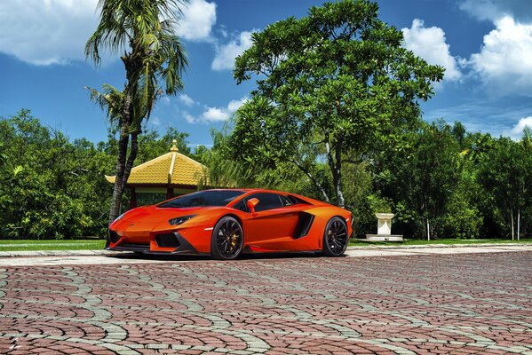 Superdeportivo Lamborghini naranja brillante en el fondo de un paisaje exótico