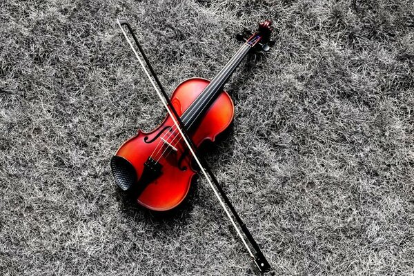 Red violin on gray grass