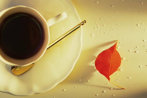 Autumn morning with a cup of hot espresso