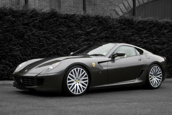 Ferrari brand badge on a black car