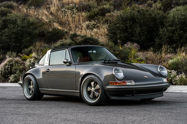 Porsche 911 negro en medio de la naturaleza