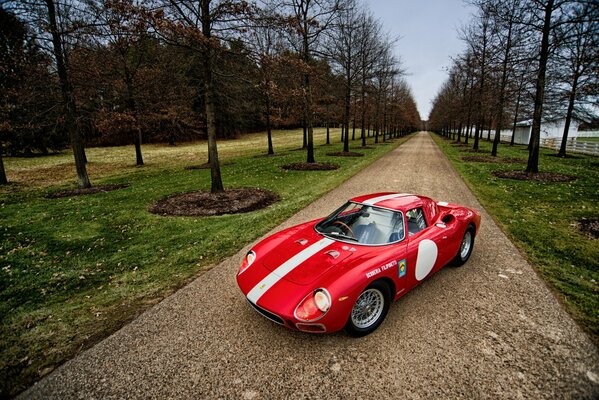 Красная Ferrari 250 lm среди деревьев