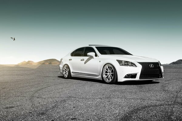 Carta da parati per auto Lexus gs con griglia enorme