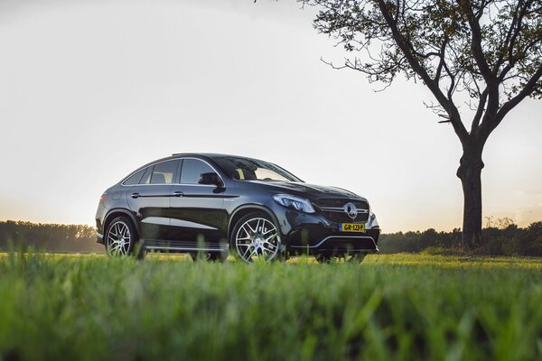 Mercedes AMG GLE 63S SUV o świcie