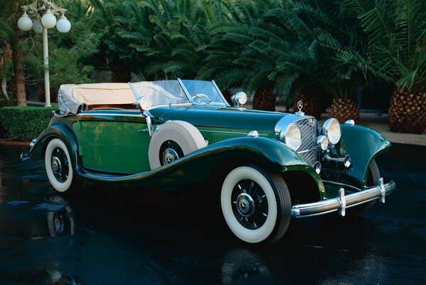 A rarity of motor transport, a classic green Mercedes on a background of palm trees