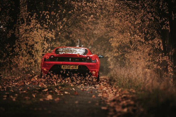 The red car drives away through the fallen leaves into the distance