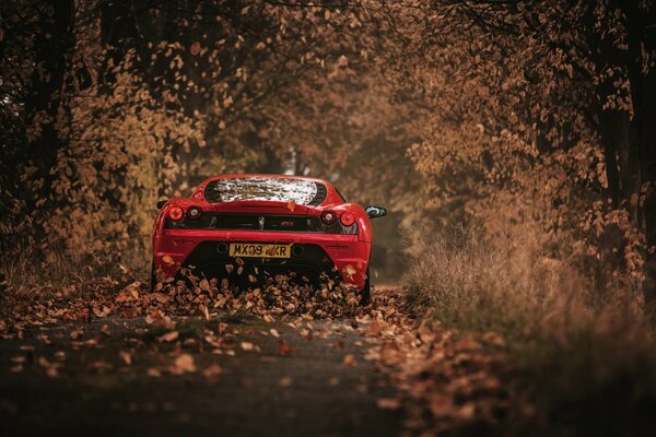 L auto rossa si allontana dalle foglie cadute in lontananza