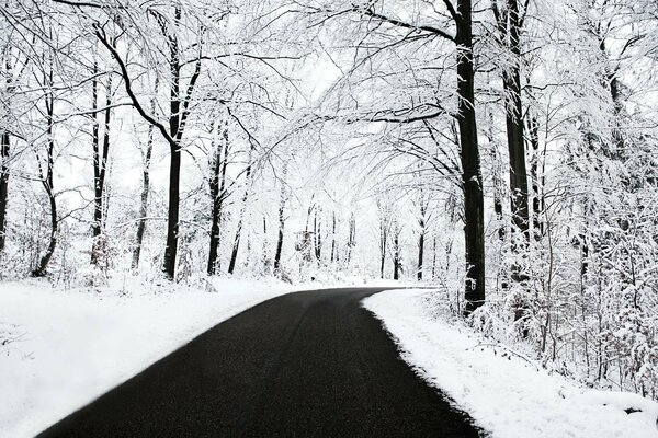 Winter road with clean asphalt