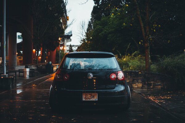 A car is driving along a road made of leaves