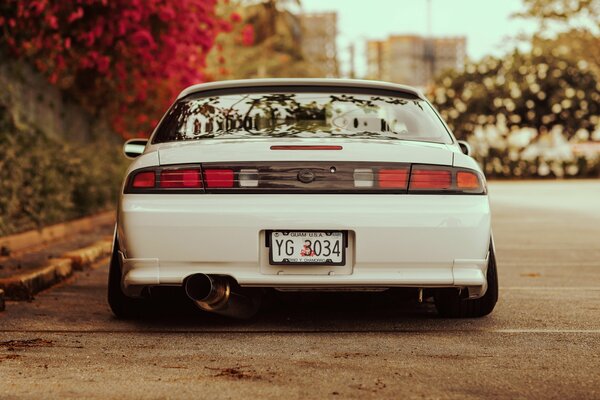 Nissan blanco contra las flores rojas y la ciudad