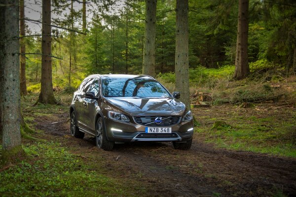 Auto 2015 Volvo Baujahr in grauer Farbe im Wald