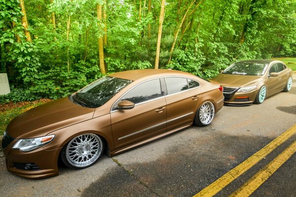 2 Volkswagen di colore marrone guidano ai margini della foresta