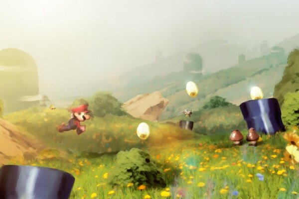 Mario s game. Summer meadow. Glade with flowers