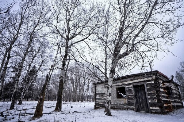 Casa en un bosque de invierno desierto