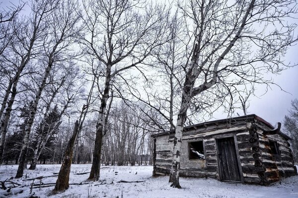 Maison dans une forêt d hiver déserte