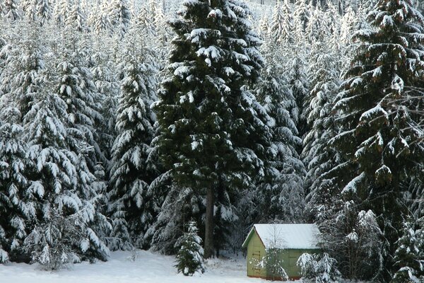 Das Haus des Försters im Winter im Wald mit Schnee und Tannen, Klapperwald