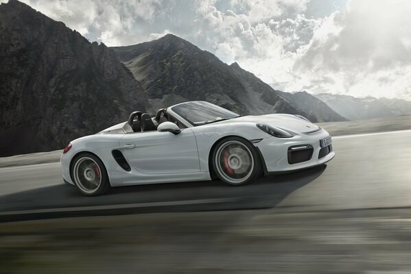 Porsche vuela a una velocidad vertiginosa en la pista