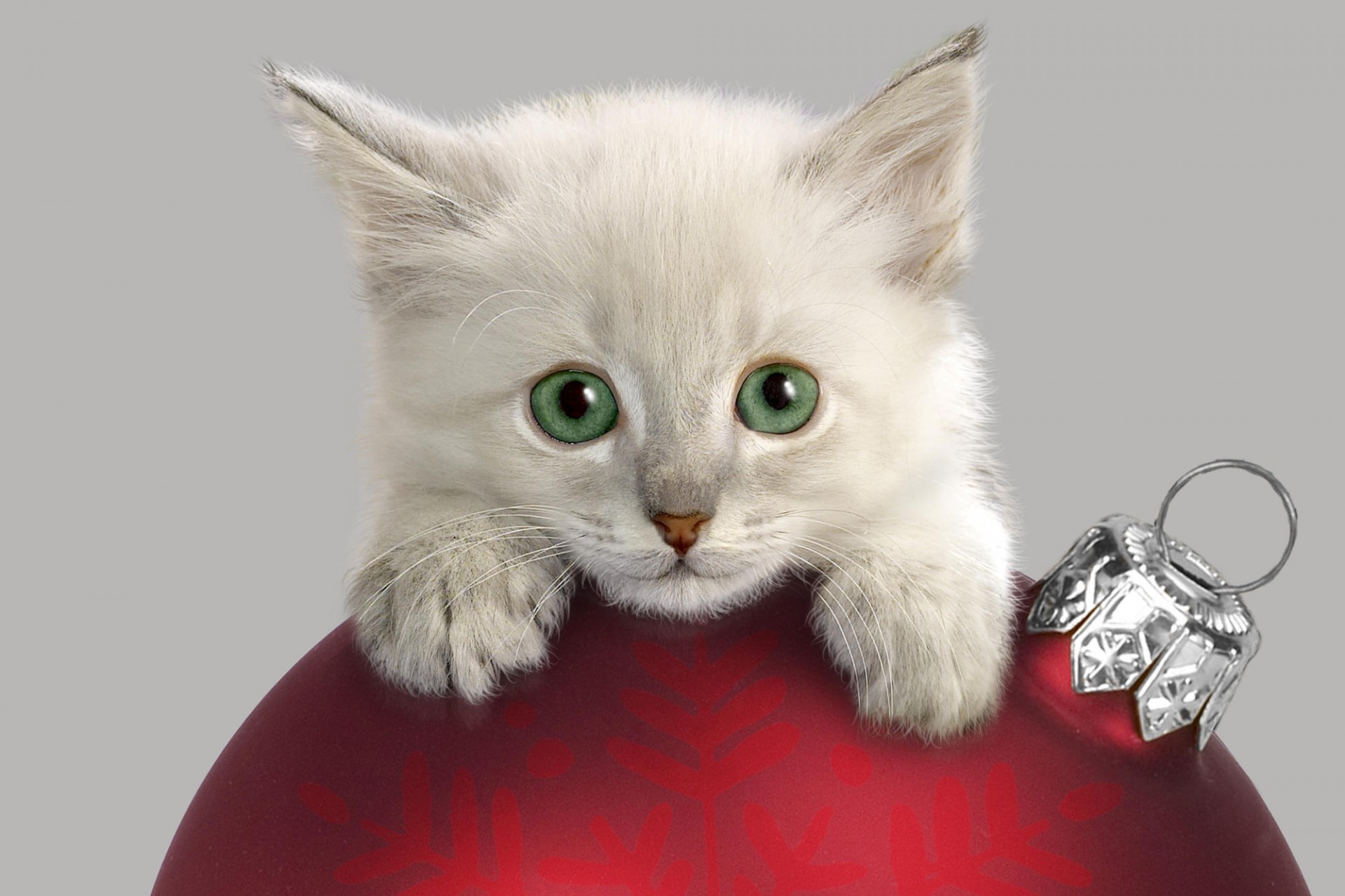 kitten ball decoration