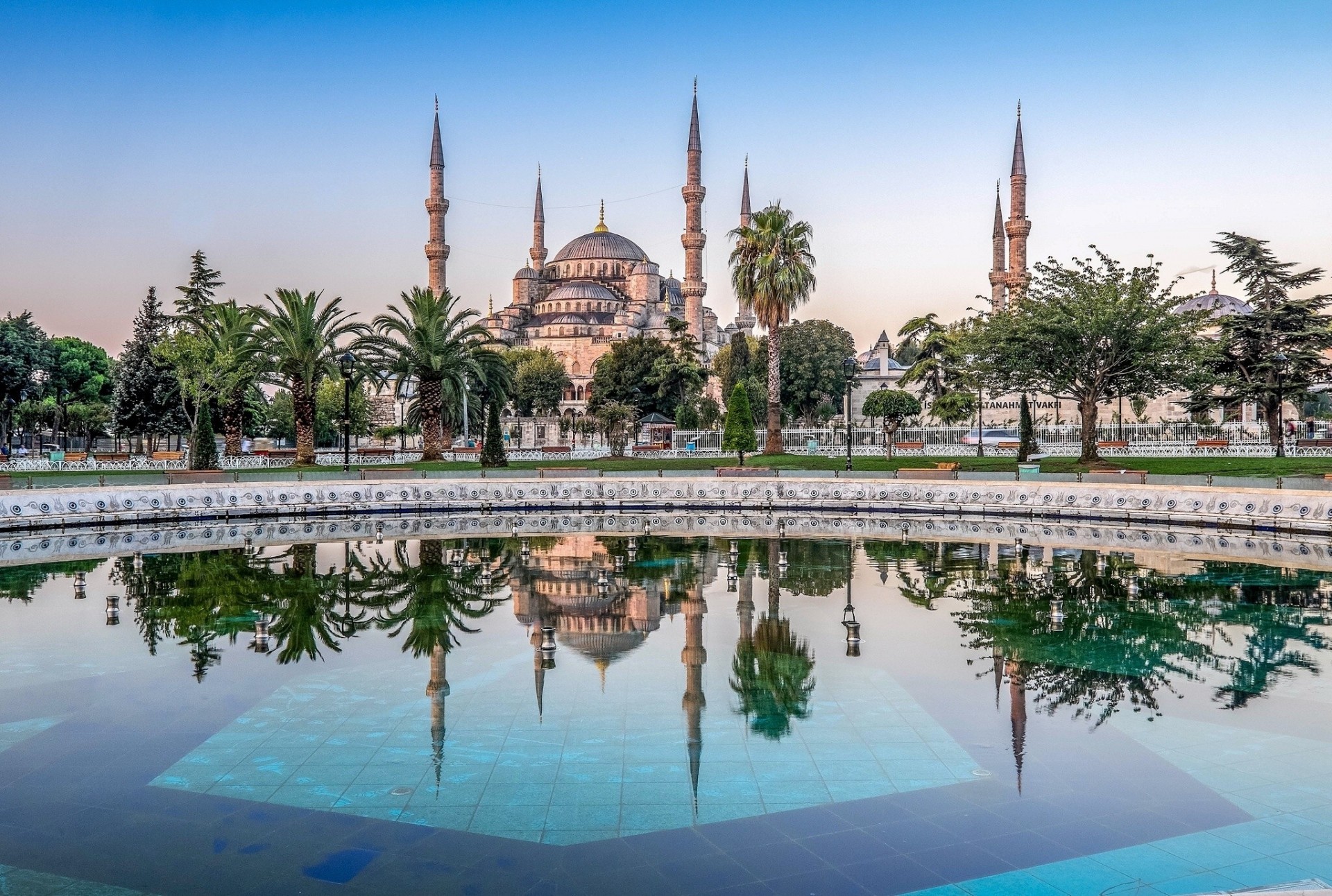 moschea blu palme istanbul alberi riflessione turchia moschea sultan ahmet piscina