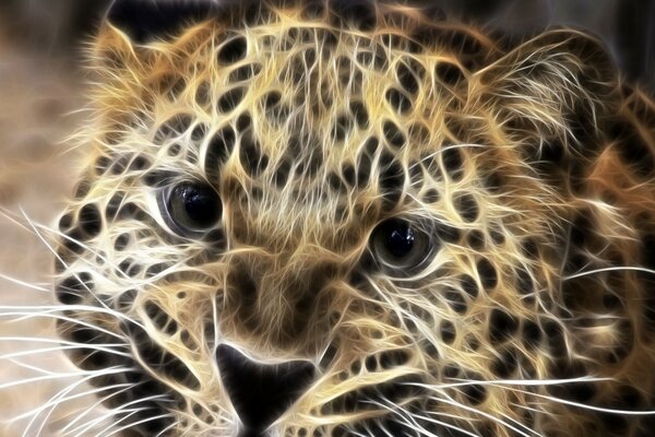 Foto in lavorazione con filtro leopardo
