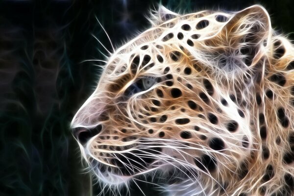 Beautiful leopard treatment on a black background