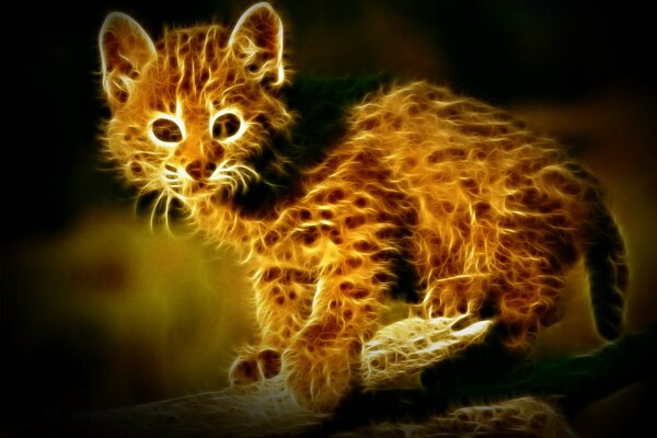 Carino gattino rosso, futuro predatore