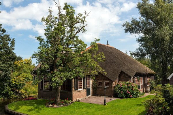 A small house in summer, trees grow nearby