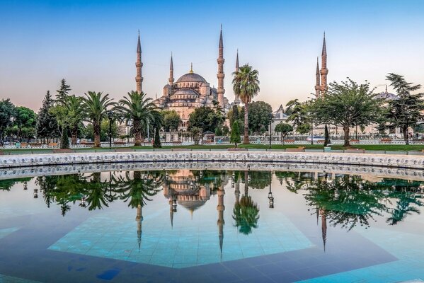 Fontaine et palmiers sur le fond de la mosquée bleue à Istanbul