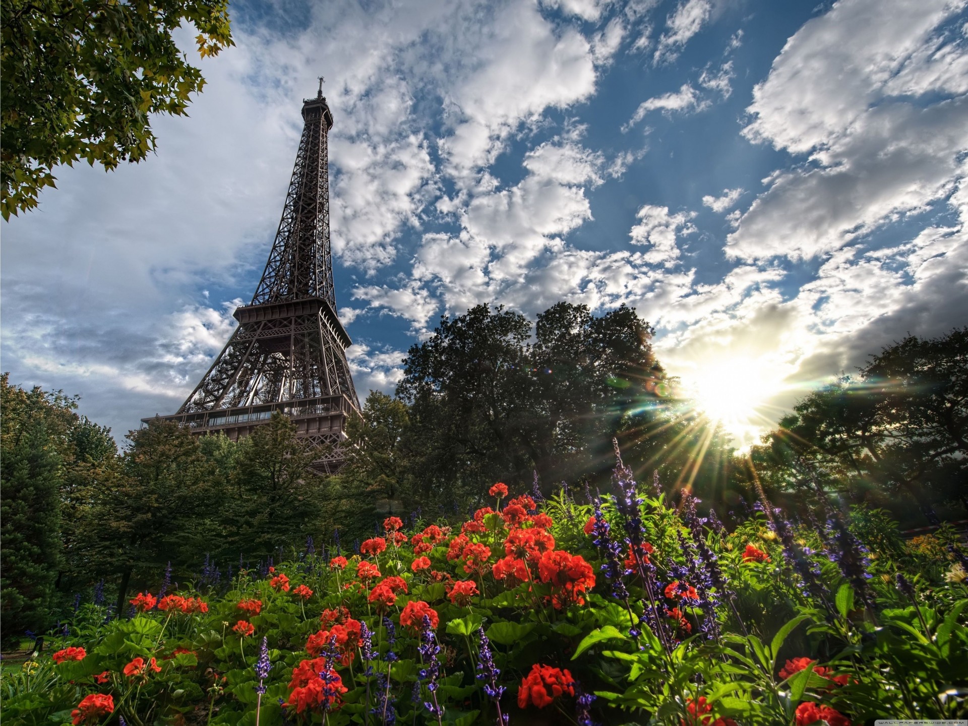 eiffel park tower view