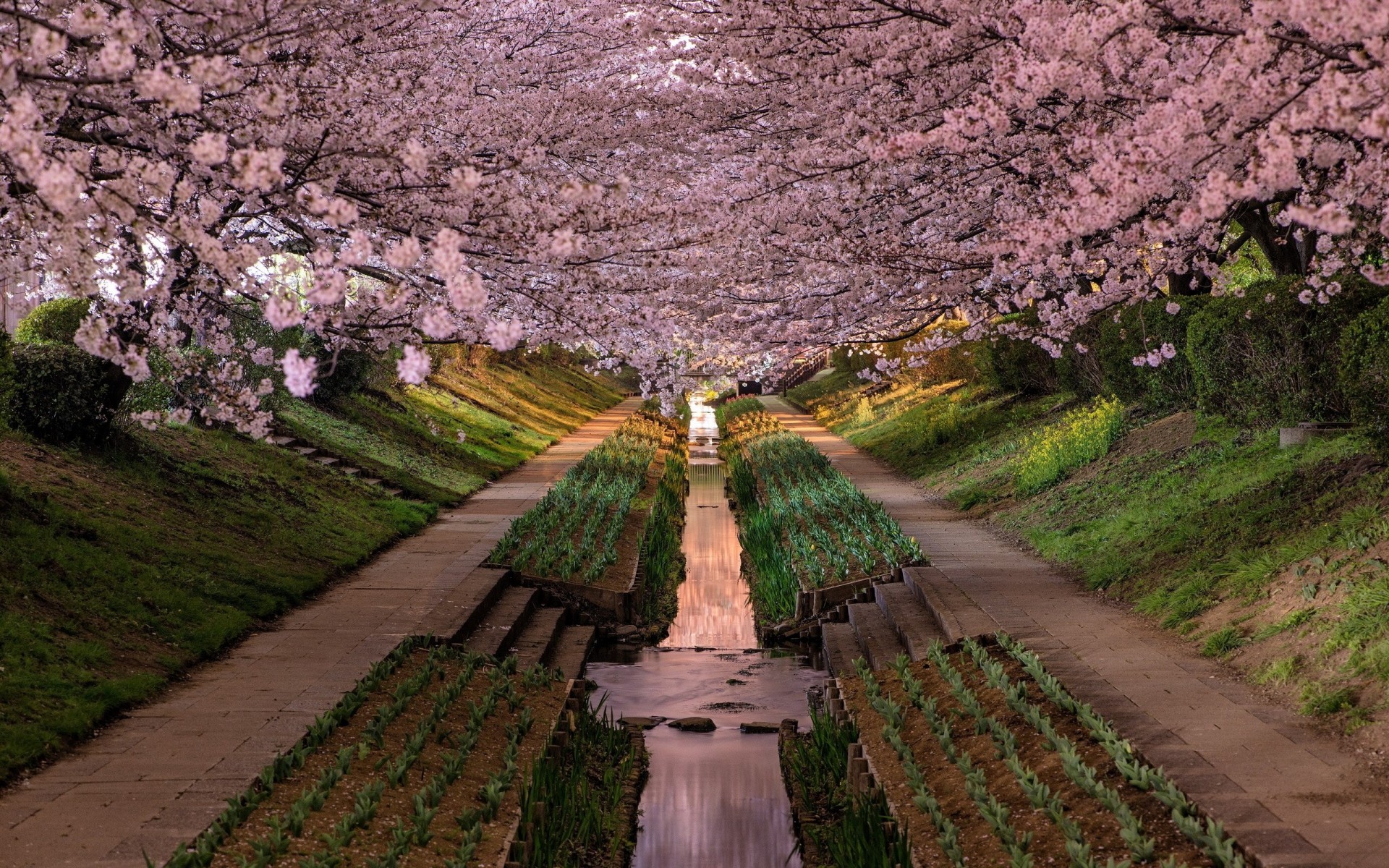 ciudad parque sakura prefectura de kanagawa japón