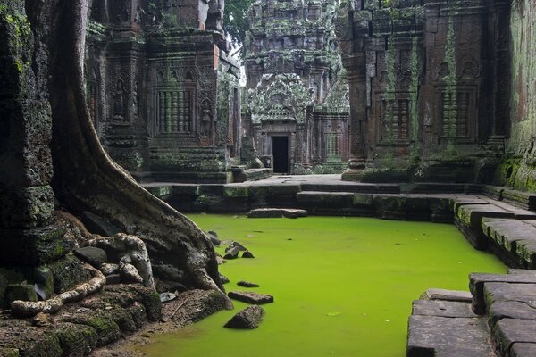 Beauté et paix dans l ancien temple