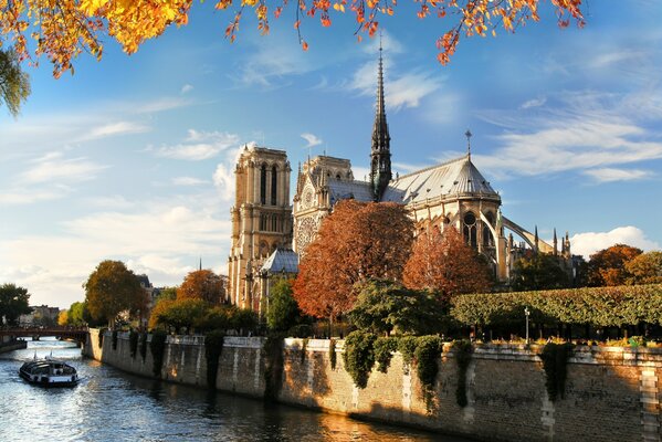 Foto von Notre Dame de Paris im Herbst. Sonnenschein