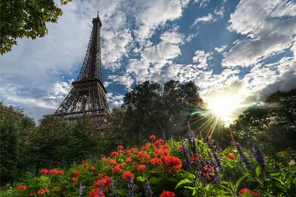Vista della Torre Eiffel dal lato del Parco