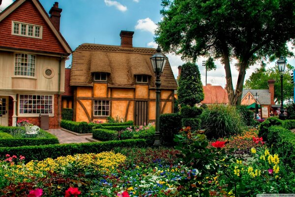 Blumen im Disney-Garten am Haus