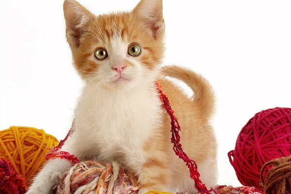 Cute kitten playing with balls of thread